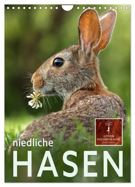 Niedliche Hasen (Wandkalender 2025 DIN A4 hoch), CALVENDO Monatskalender