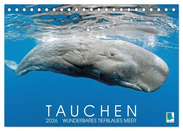 Tauchen: Wunderbares tiefblaues Meer (Tischkalender 2026 DIN A5 quer), CALVENDO Monatskalender