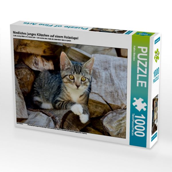 CALVENDO Puzzle Niedliches junges Kätzchen auf einem Holzstapel 1000 Teile Puzzle quer 1000 Teile Lege-Größe 64 × 48 cm Foto-Puzzle für glückliche Stunden