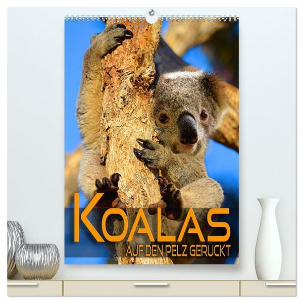 Koalas auf den Pelz gerückt (hochwertiger Premium Wandkalender 2026 DIN A2 hoch), Kunstdruck in Hochglanz