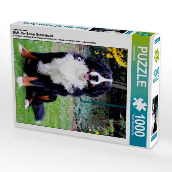 CALVENDO Puzzle Ein Motiv aus dem Kalender BÄR - Der Berner Sennenhund 1000 Teile Lege-Größe 64x48cm Foto-Puzzle für glückliche Stunden
