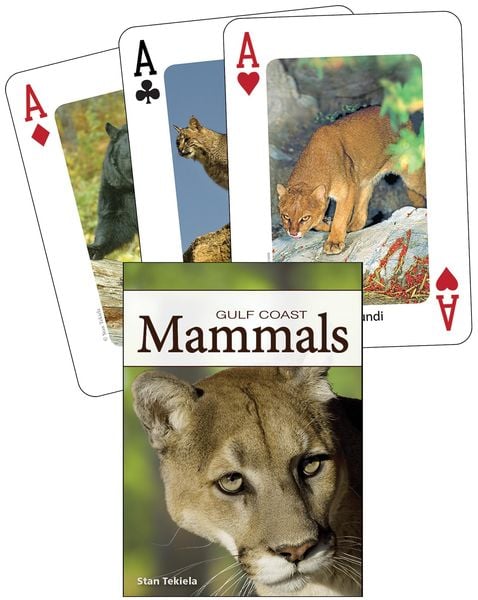 Mammals of the Gulf Coast