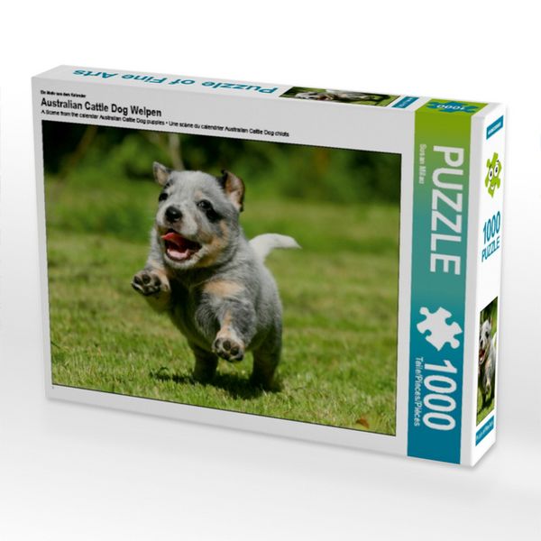 CALVENDO Puzzle Ein Motiv aus dem Kalender Australian Cattle Dog Welpen 1000 Teile Lege-Größe 64x48cm Foto-Puzzle für glückliche Stunden