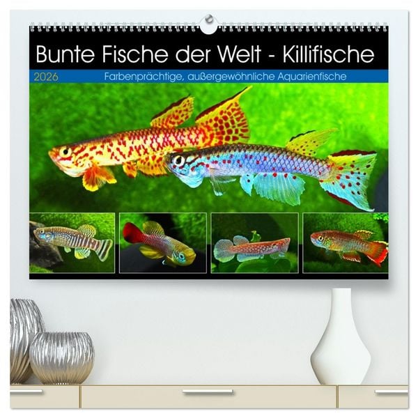 Bunte Fische der Welt - Killifische (hochwertiger Premium Wandkalender 2026 DIN A2 quer), Kunstdruck in Hochglanz