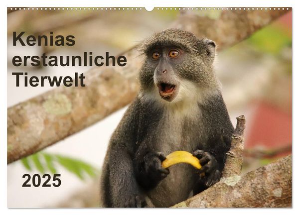 Kenias erstaunliche Tierwelt (Wandkalender 2025 DIN A2 quer), CALVENDO Monatskalender