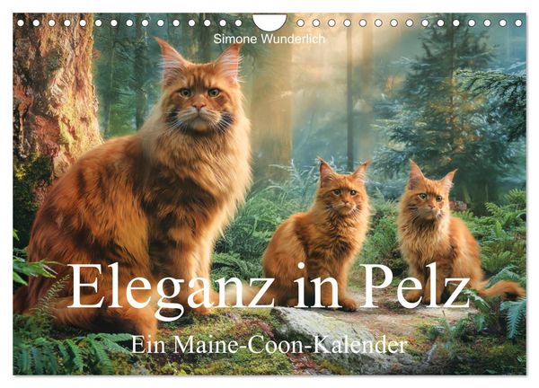 Eleganz in Pelz - ein Maine Coon - Kalender (Wandkalender 2027 DIN A4 quer), CALVENDO Monatskalender