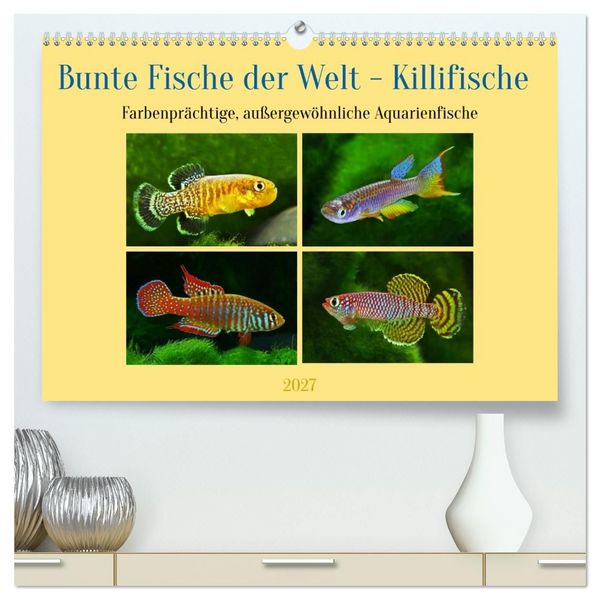 Bunte Fische der Welt - Killifische (hochwertiger Premium Wandkalender 2027 DIN A2 quer), Kunstdruck in Hochglanz