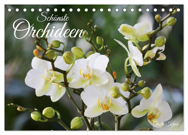 Schönste Orchideen (Tischkalender 2026 DIN A5 quer), CALVENDO Monatskalender