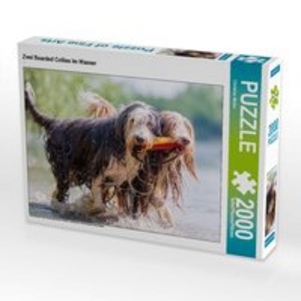 CALVENDO Puzzle Zwei Bearded Collies im Wasser 2000 Teile Puzzle quer 2000 Teile Lege-Größe 90 × 67 cm Foto-Puzzle für glückliche Stunden