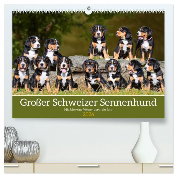 Großer Schweizer Sennenhund - Mit Schweizer Welpen durch das Jahr (hochwertiger Premium Wandkalender 2026 DIN A2 quer), Kunstdruck in Hochglanz