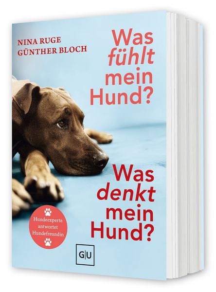 Was fühlt mein Hund? Was denkt mein Hund?