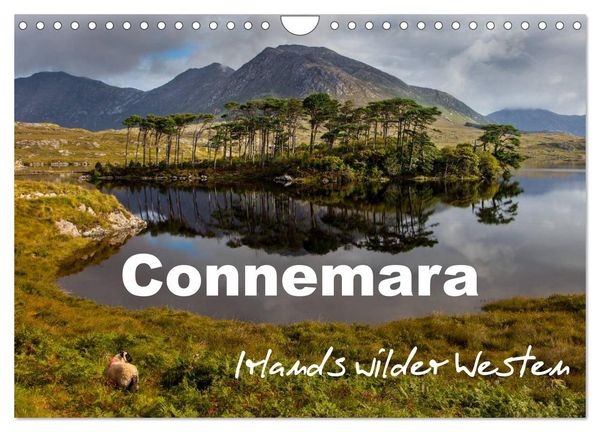Connemara - Irlands wilder Westen (Wandkalender 2026 DIN A4 quer), CALVENDO Monatskalender