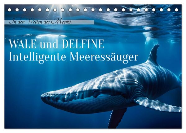Wale und Delfine - Intelligente Meeressäuger (Tischkalender 2026 DIN A5 quer), CALVENDO Monatskalender