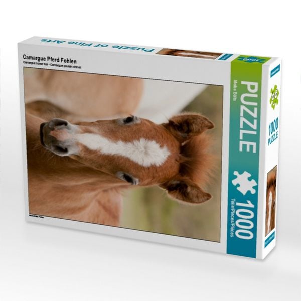 CALVENDO Puzzle Camargue Pferd Fohlen 1000 Teile Lege-Größe 64x48cm Foto-Puzzle für glückliche Stunden