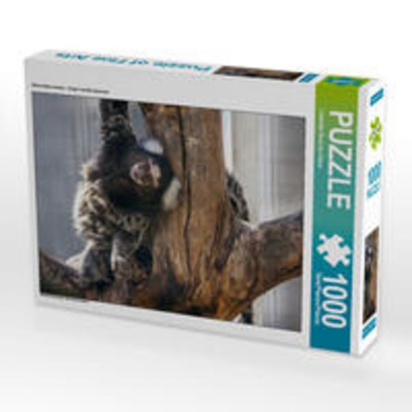 CALVENDO Puzzle 1000 Teile Puzzle quer 1000 Teile Lege-Größe 64 x 48 cm Foto-Puzzle Bild von Liselotte Brunner-Klaus