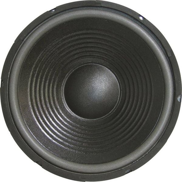 Sintron 203377 30cm PA-Subwoofer 300W 8Ω