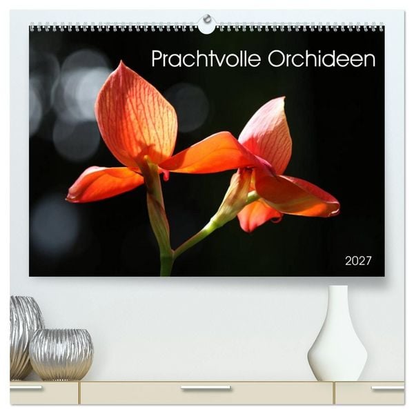 Prachtvolle Orchideen (hochwertiger Premium Wandkalender 2027 DIN A2 quer), Kunstdruck in Hochglanz