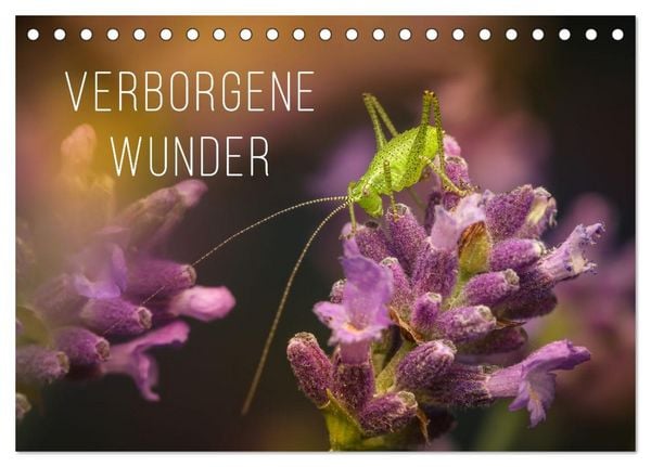 Verborgene Wunder (Tischkalender 2026 DIN A5 quer), CALVENDO Monatskalender