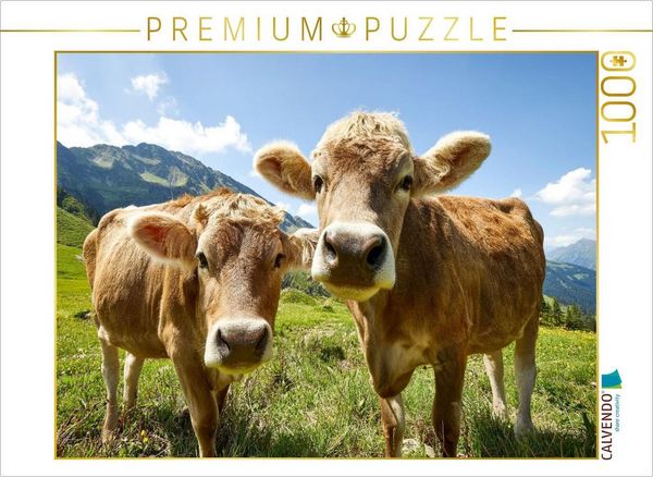 CALVENDO Puzzle Ein Foto fürs Familienalbum 1000 Teile Lege-Größe 64x48cm Foto-Puzzle für glückliche Stunden
