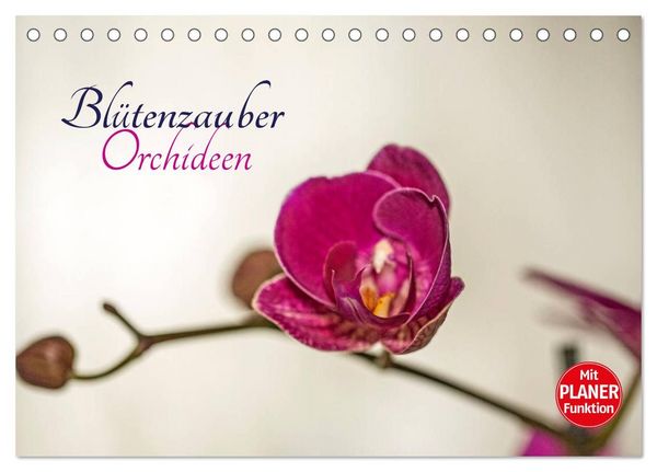 Blütenzauber Orchideen (Tischkalender 2027 DIN A5 quer), CALVENDO Monatskalender