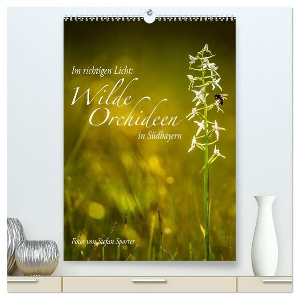 Im richtigen Licht: Wilde Orchideen in Südbayern (hochwertiger Premium Wandkalender 2027 DIN A2 hoch), Kunstdruck in Hochglanz