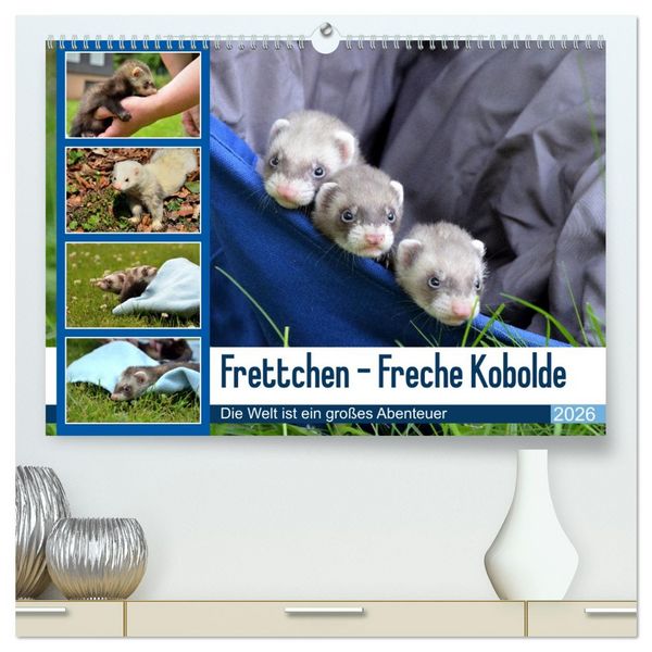 Frettchen - Freche Kobolde (hochwertiger Premium Wandkalender 2026 DIN A2 quer), Kunstdruck in Hochglanz