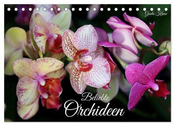 Beliebte Orchideen (Tischkalender 2027 DIN A5 quer), CALVENDO Monatskalender