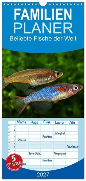 Familienplaner 2027 - Beliebte Fische der Welt mit 5 Spalten (Wandkalender, 21 x 45 cm) CALVENDO