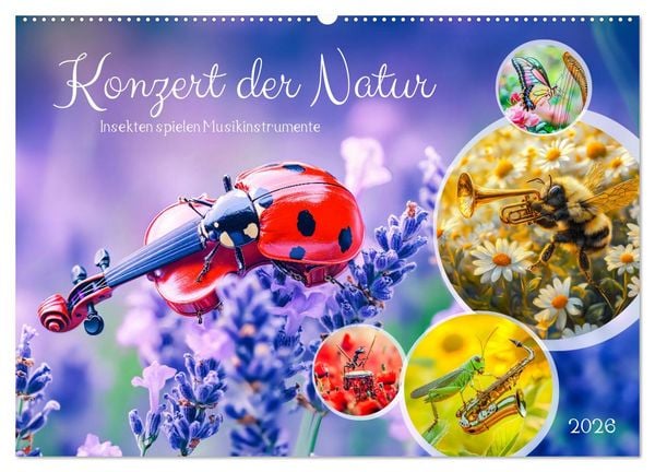 Konzert der Natur - Insekten spielen Musikinstrumente (Wandkalender 2026 DIN A2 quer), CALVENDO Monatskalender