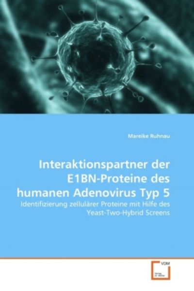 Ruhnau, M: Interaktionspartner der E1BN-Proteine des humanen