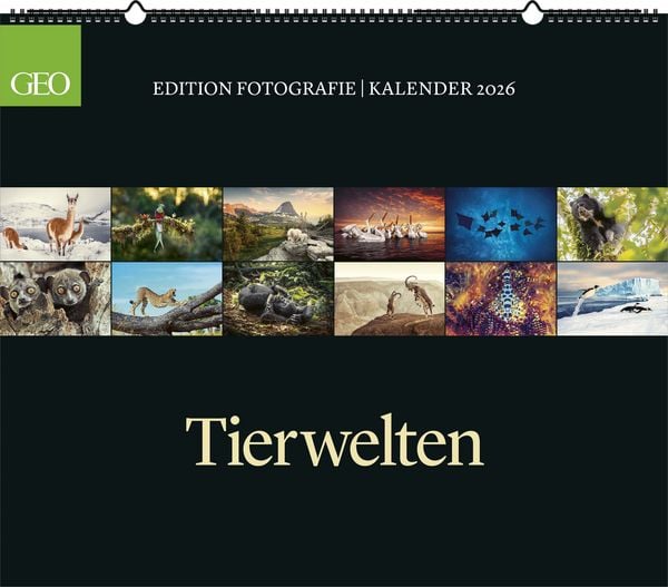 GEO Edition: Tierwelten 2026 - Wand-Kalender - Tier-Kalender - 70x60