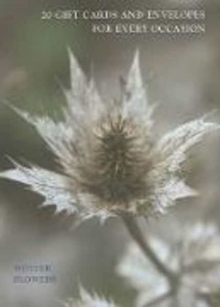 Winter Flowers