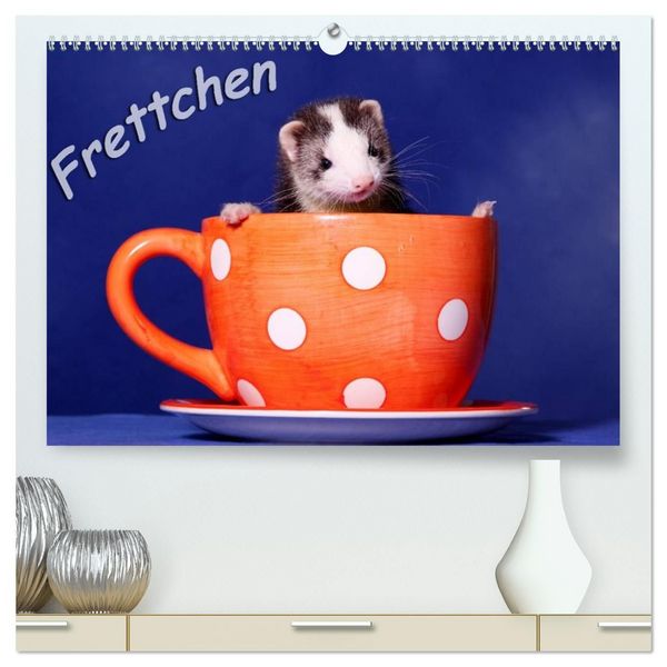 Frettchen - Ferrets (hochwertiger Premium Wandkalender 2027 DIN A2 quer), Kunstdruck in Hochglanz