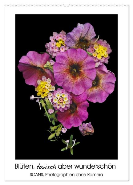Blüten, toxisch aber wunderschön (Wandkalender 2026 DIN A2 hoch), CALVENDO Monatskalender