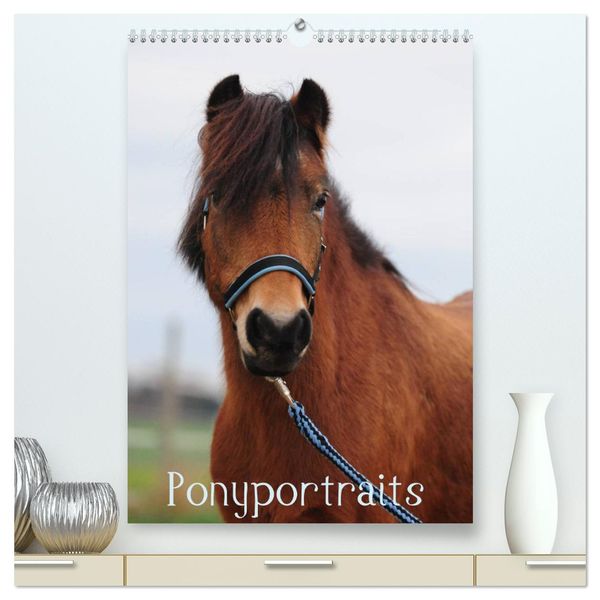 Wandkalender Ponyportraits (hochwertiger Premium Wandkalender 2025 DIN A2 hoch), Kunstdruck in Hochglanz