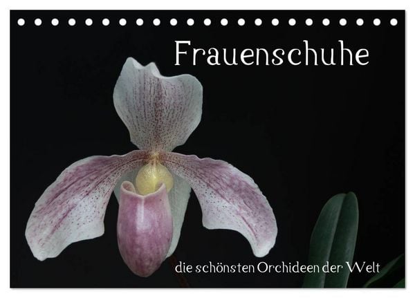 Frauenschuhe - die schönsten Orchideen der Welt (Tischkalender 2026 DIN A5 quer), CALVENDO Monatskalender