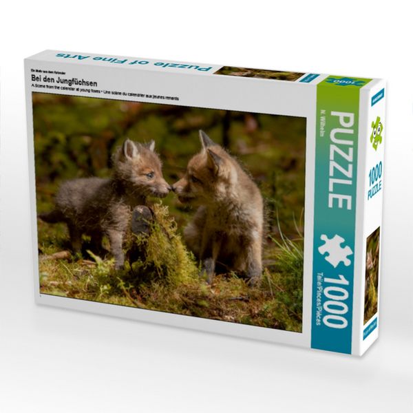 CALVENDO Puzzle Ein Motiv aus dem Kalender Bei den Jungfüchsen 1000 Teile Lege-Größe 64x48cm Foto-Puzzle für glückliche Stunden