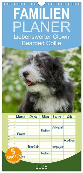 Familienplaner 2026 - Liebenswerter Clown Bearded Collie mit 5 Spalten (Wandkalender, 21 x 45 cm) CALVENDO
