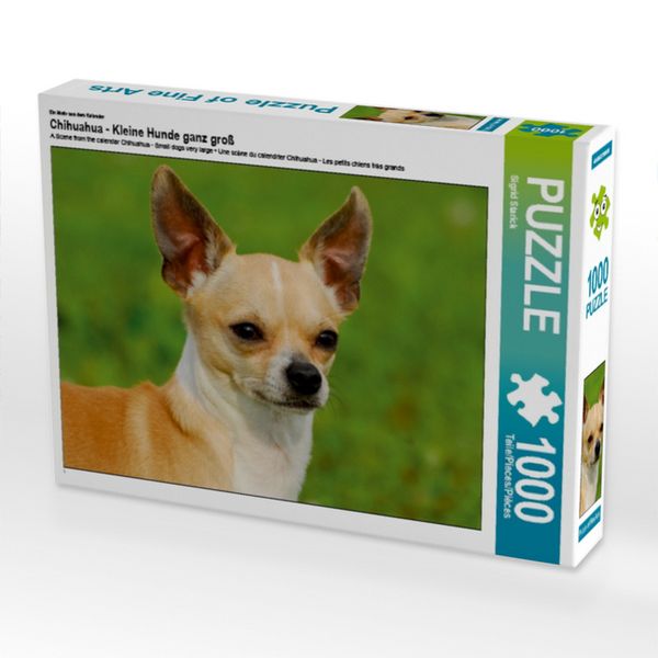 CALVENDO Puzzle Ein Motiv aus dem Kalender Chihuahua - Kleine Hunde ganz groß 1000 Teile Lege-Größe 64x48cm Foto-Puzzle für glückliche Stunden
