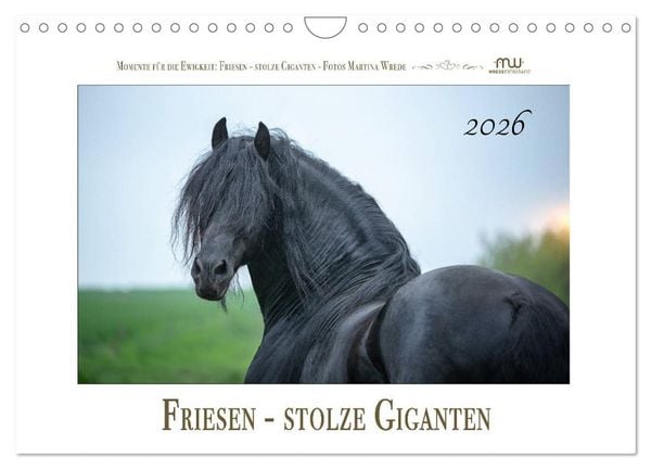 Friesen - stolze Giganten (Wandkalender 2026 DIN A4 quer), CALVENDO Monatskalender