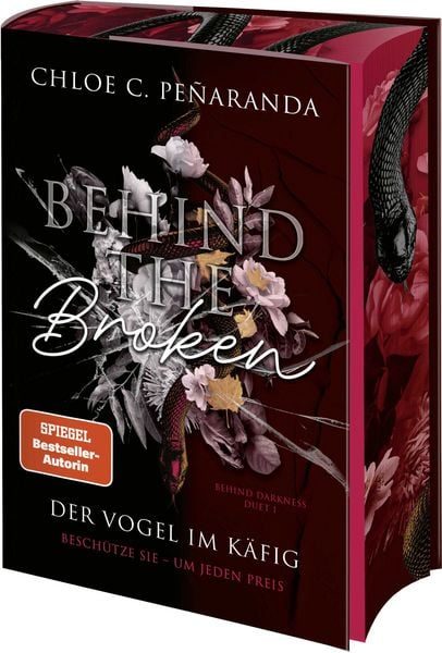 Behind the Broken. Der Vogel im Käfig