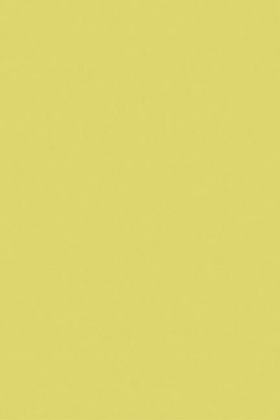 Geschenkpapier Uni Streifen gold (Rolle, 50 cm)