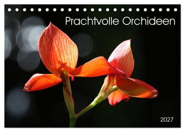 Prachtvolle Orchideen (Tischkalender 2027 DIN A5 quer), CALVENDO Monatskalender