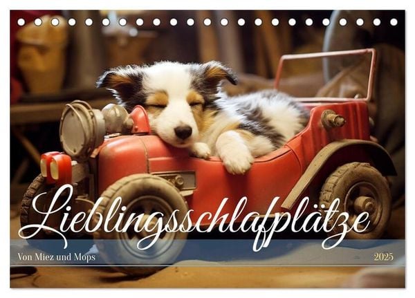 Lieblingsschlafplätze (Tischkalender 2025 DIN A5 quer), CALVENDO Monatskalender
