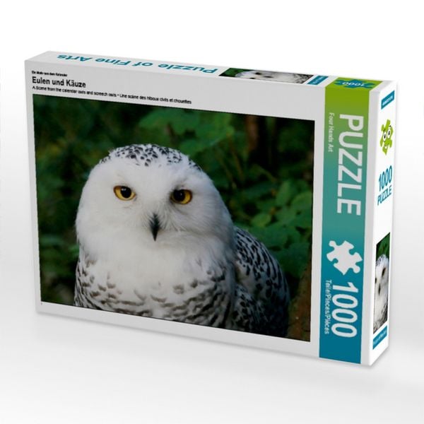 CALVENDO Puzzle Ein Motiv aus dem Kalender Eulen und Käuze 1000 Teile Lege-Größe 64x48cm Foto-Puzzle für glückliche Stunden