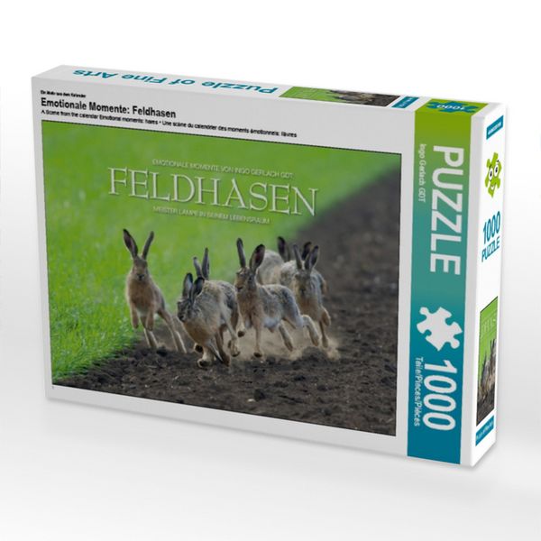 CALVENDO Puzzle Ein Motiv aus dem Kalender Emotionale Momente: Feldhasen 1000 Teile Lege-Größe 64x48cm Foto-Puzzle für glückliche Stunden