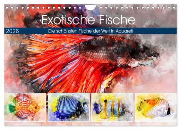 Exotische Fische - Die schönsten Fische der Welt in Aquarell (Wandkalender 2026 DIN A4 quer), CALVENDO Monatskalender