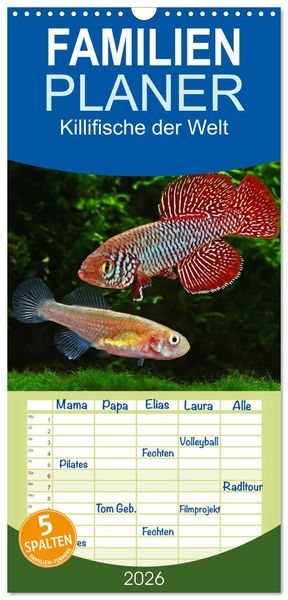 Familienplaner 2026 - Killifische der Welt mit 5 Spalten (Wandkalender, 21 x 45 cm) CALVENDO