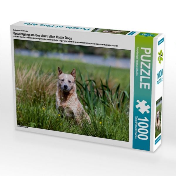 CALVENDO Puzzle Ein Motiv aus dem Kalender Spaziergang am See Australian Cattle Dogs 1000 Teile Lege-Größe 64x48cm Foto-Puzzle für glückliche Stunden