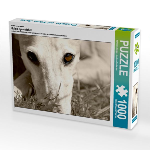 CALVENDO Puzzle Ein Motiv aus dem Kalender Galgo eye-catcher 1000 Teile Lege-Größe 64x48cm Foto-Puzzle für glückliche Stunden